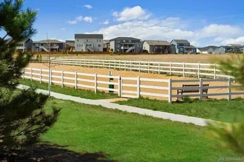 5647 Amarosa Drive Parker CO 80134