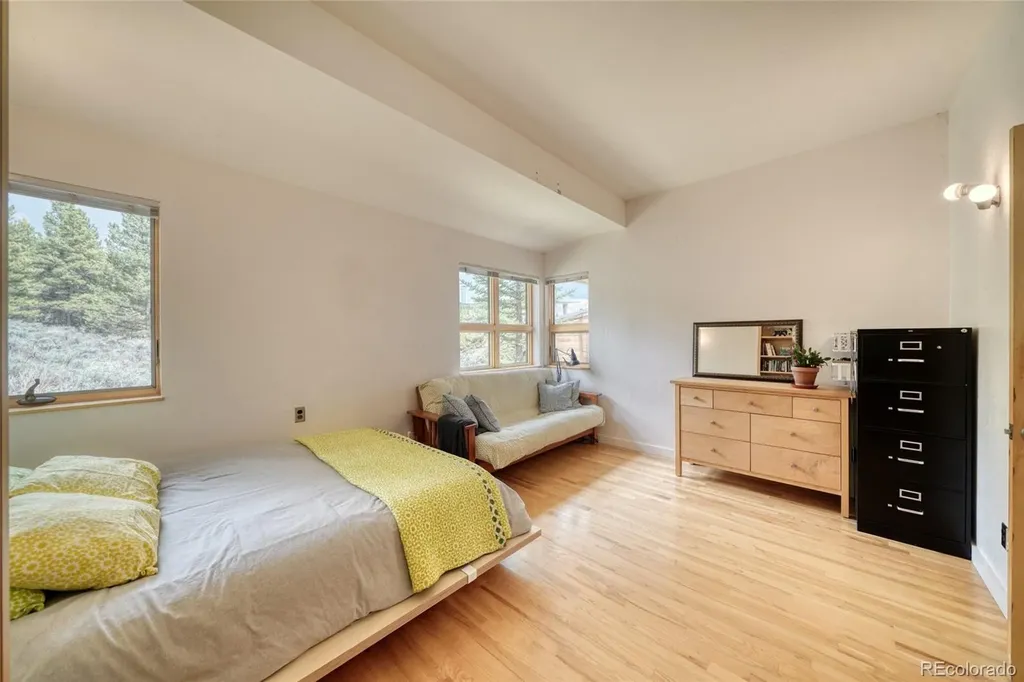 850 Ash Street Leadville CO 80461