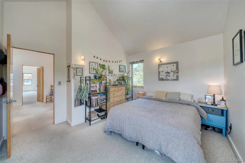 850 Ash Street Leadville CO 80461
