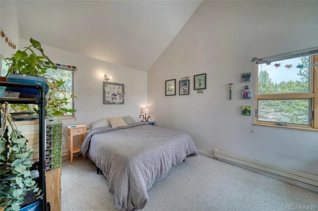 850 Ash Street Leadville CO 80461