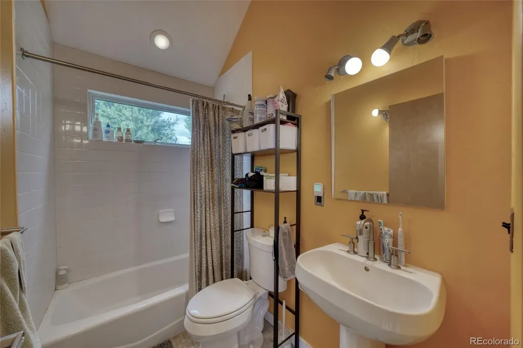 850 Ash Street Leadville CO 80461