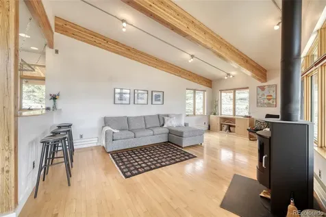 850 Ash Street Leadville CO 80461