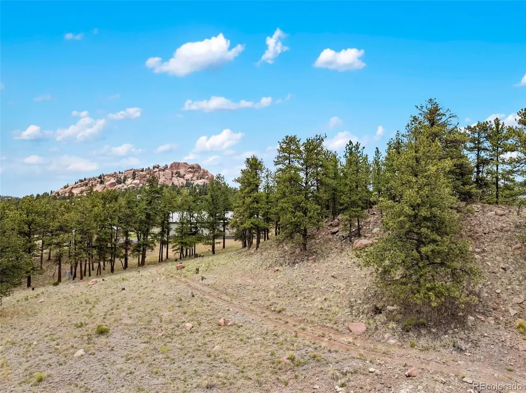 251 Surrey Lane Florissant CO 80816