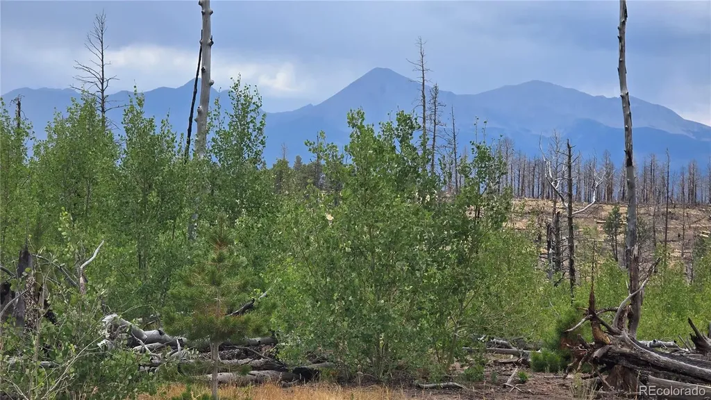 Lot 1177 Bechtel Place Fort Garland CO 81133