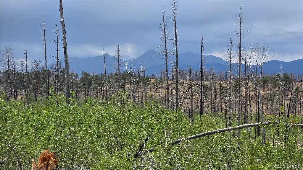 Lot 1177 Bechtel Place Fort Garland CO 81133