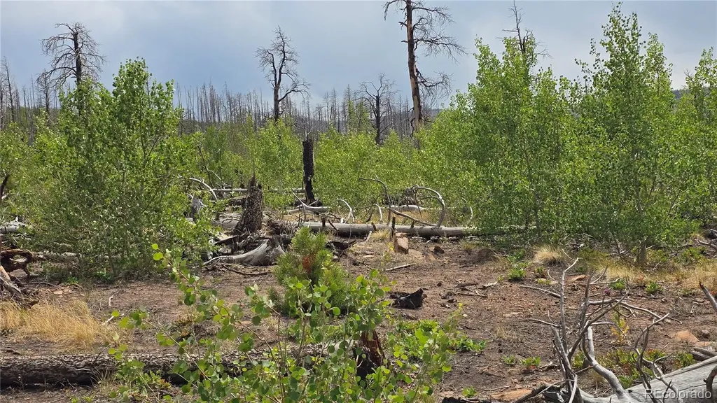 Lot 1177 Bechtel Place Fort Garland CO 81133