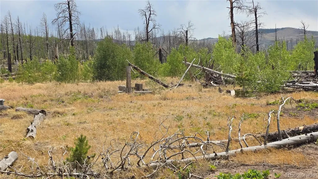 Lot 1177 Bechtel Place Fort Garland CO 81133