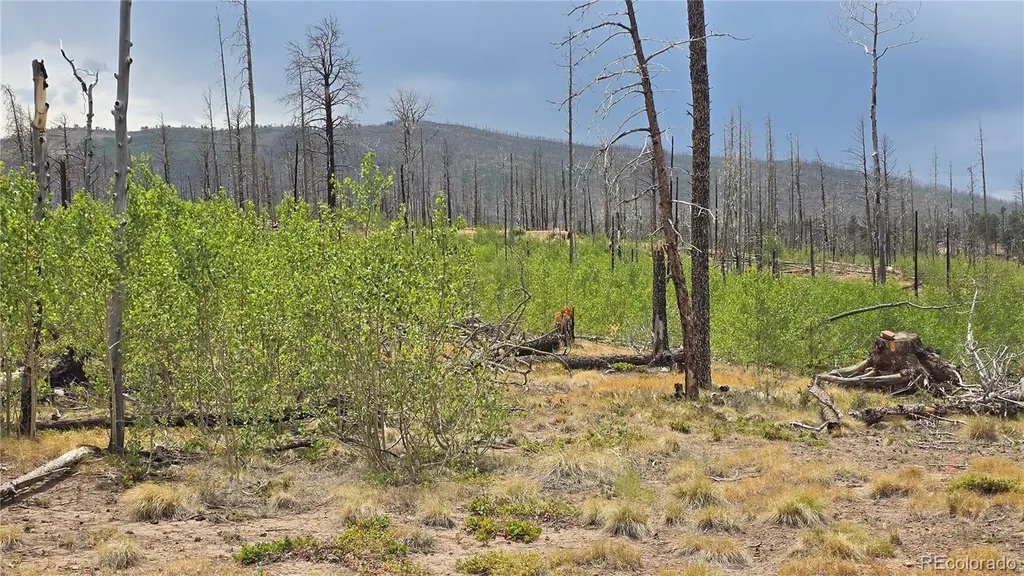Lot 1177 Bechtel Place Fort Garland CO 81133