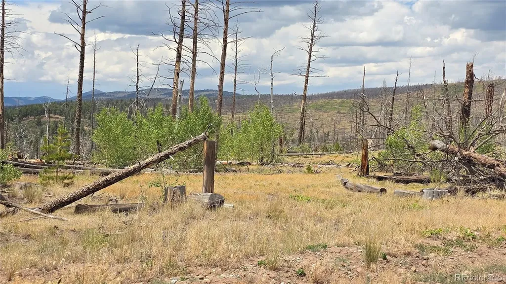 Lot 1177 Bechtel Place Fort Garland CO 81133