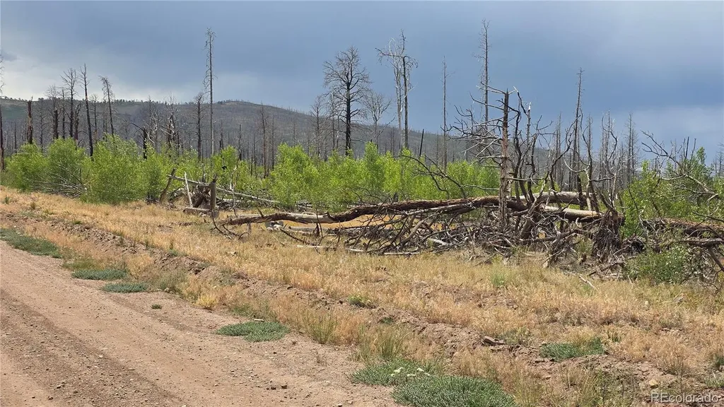 Lot 1177 Bechtel Place Fort Garland CO 81133
