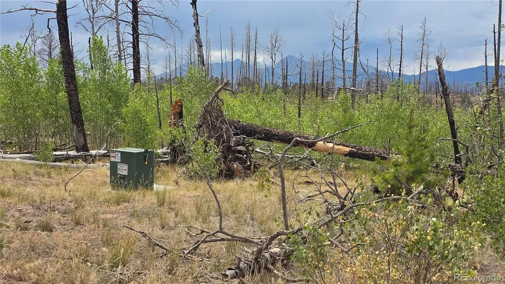 Lot 1177 Bechtel Place Fort Garland CO 81133
