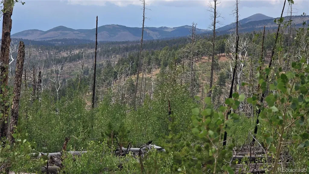 Lot 1177 Bechtel Place Fort Garland CO 81133