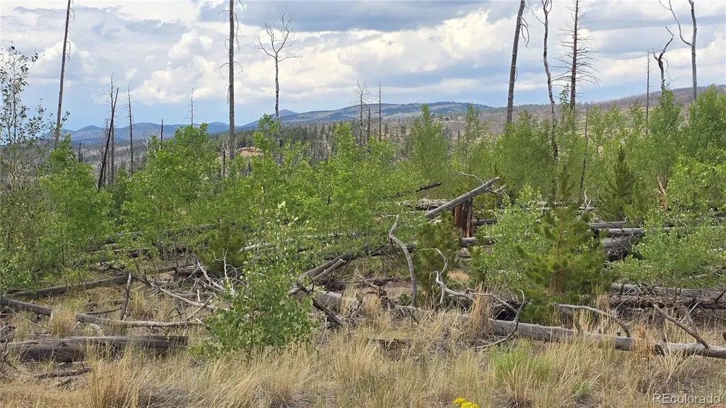 Lot 1177 Bechtel Place Fort Garland CO 81133