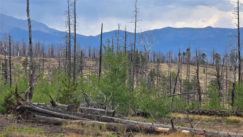 Lot 1177 Bechtel Place Fort Garland CO 81133