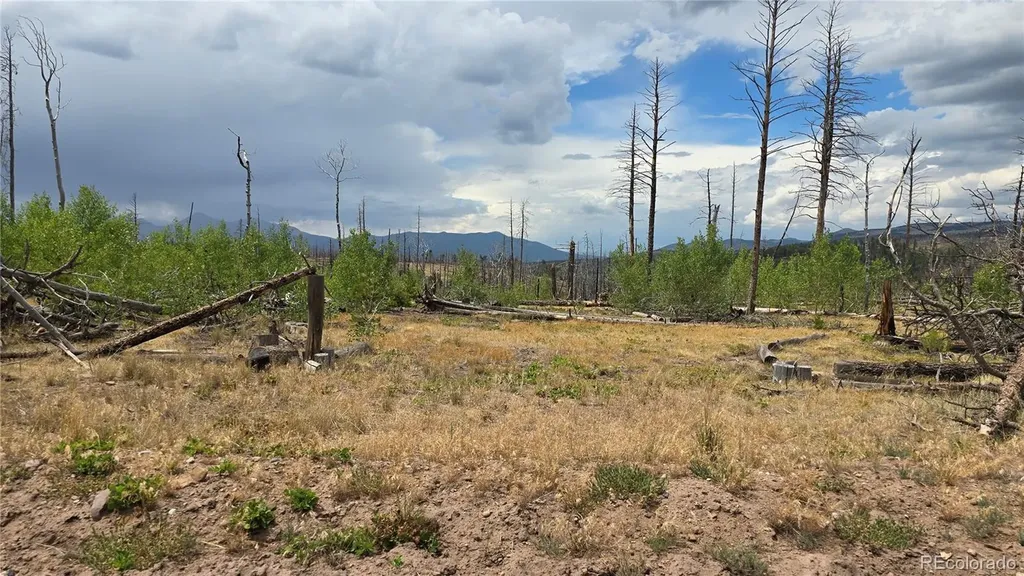 Lot 1177 Bechtel Place Fort Garland CO 81133