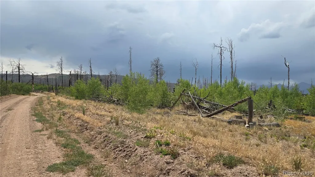 Lot 1177 Bechtel Place Fort Garland CO 81133