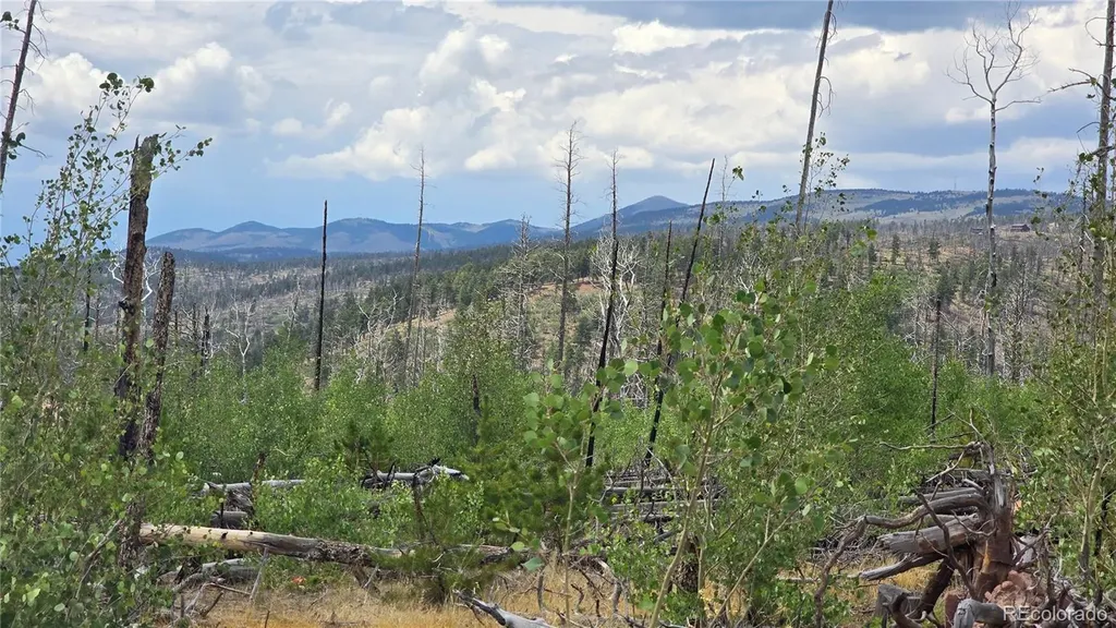 Lot 1177 Bechtel Place Fort Garland CO 81133
