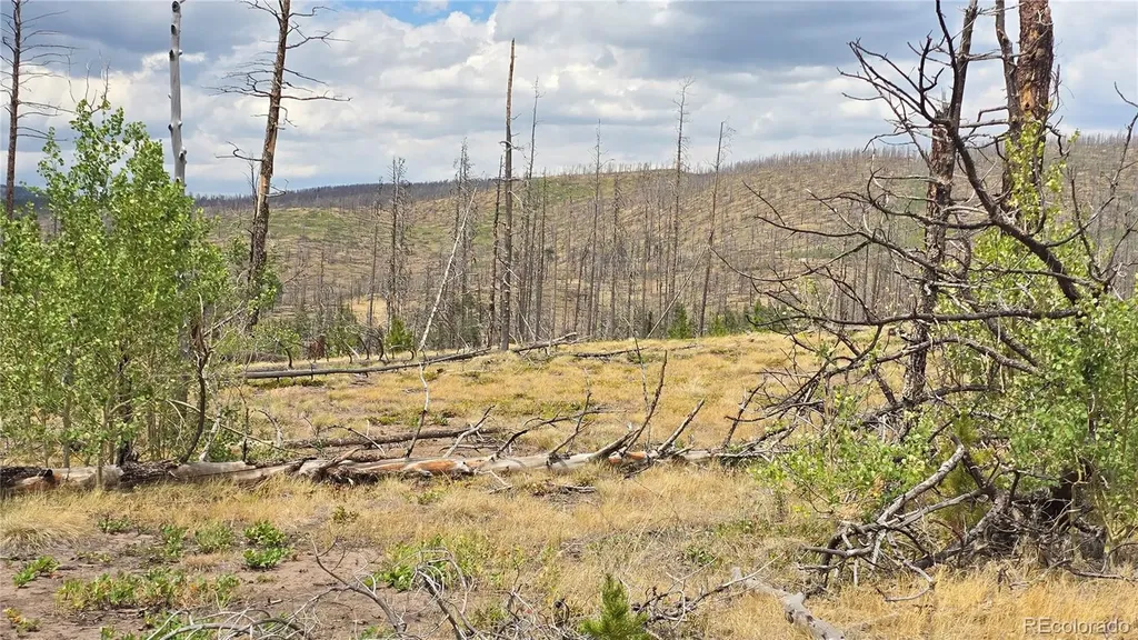 Lot 1177 Bechtel Place Fort Garland CO 81133