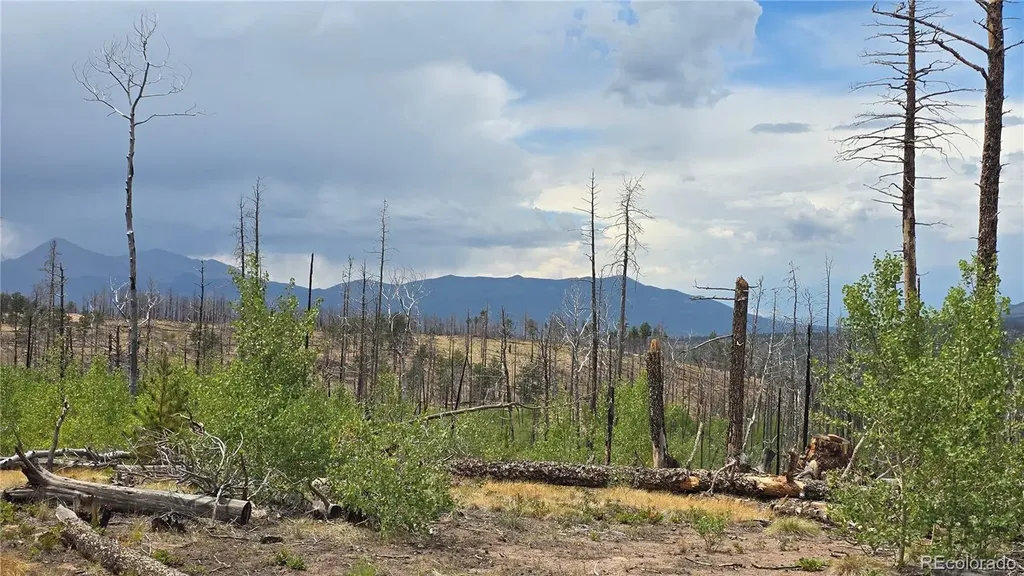 Lot 1177 Bechtel Place Fort Garland CO 81133