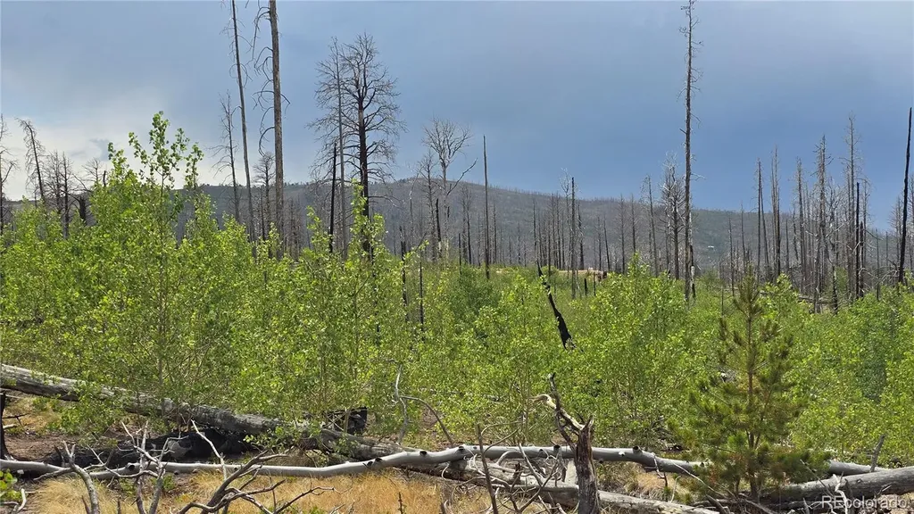 Lot 1177 Bechtel Place Fort Garland CO 81133