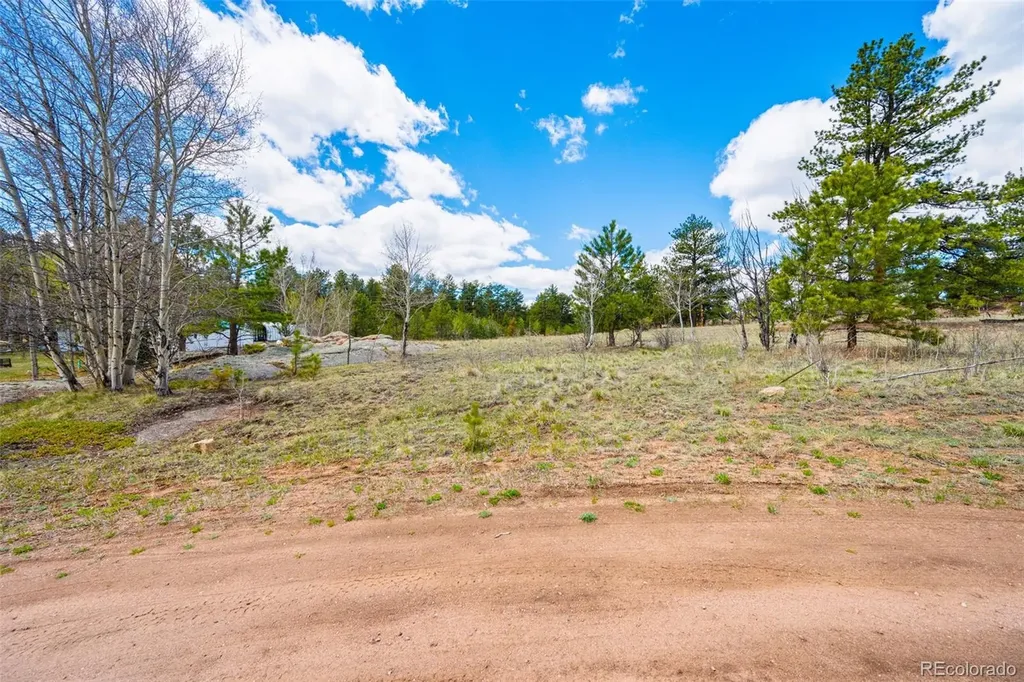 121 Bridle Lane Florissant CO 80816