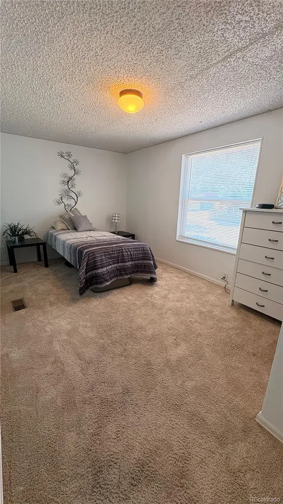 4956 E 97th Place Denver CO 80229