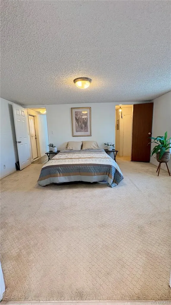 4956 E 97th Place Denver CO 80229