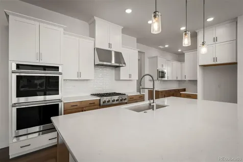 17113 Alsike Clover Court Monument CO 80132