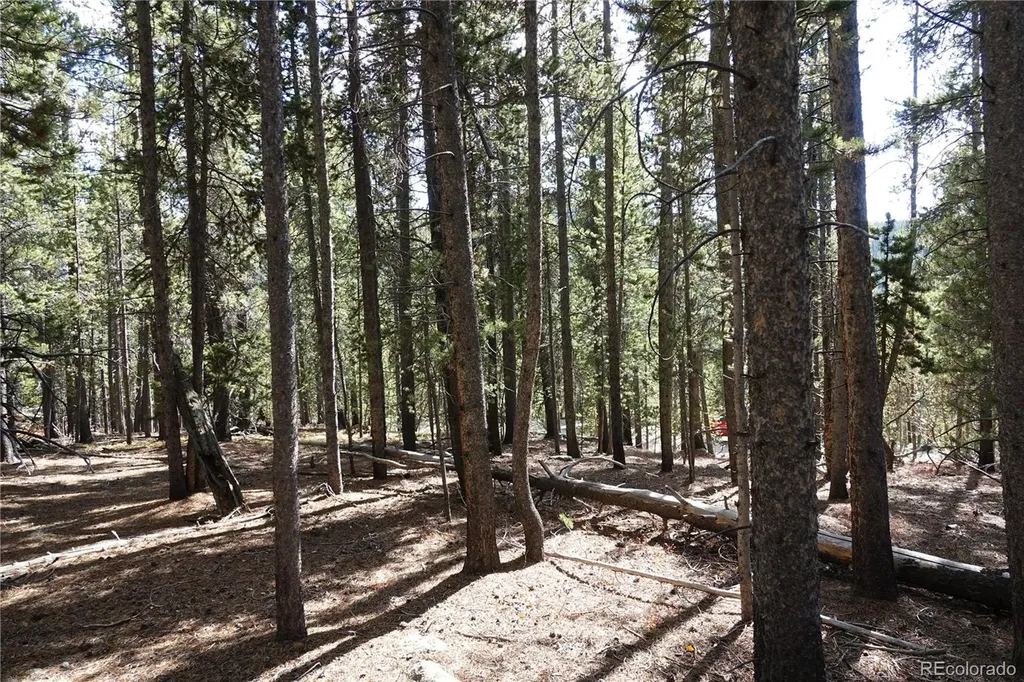 000 Loch Lomond Rd & Vista Road Idaho Springs CO 80452