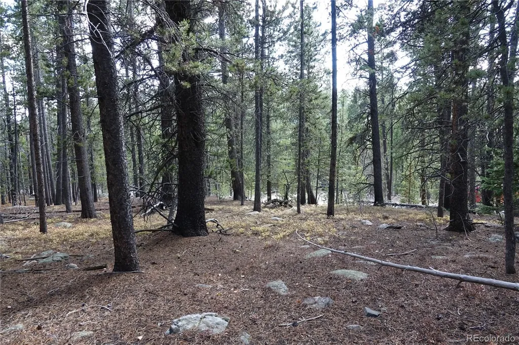 000 Loch Lomond Rd & Vista Road Idaho Springs CO 80452