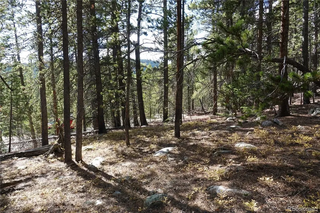 000 Loch Lomond Rd & Vista Road Idaho Springs CO 80452
