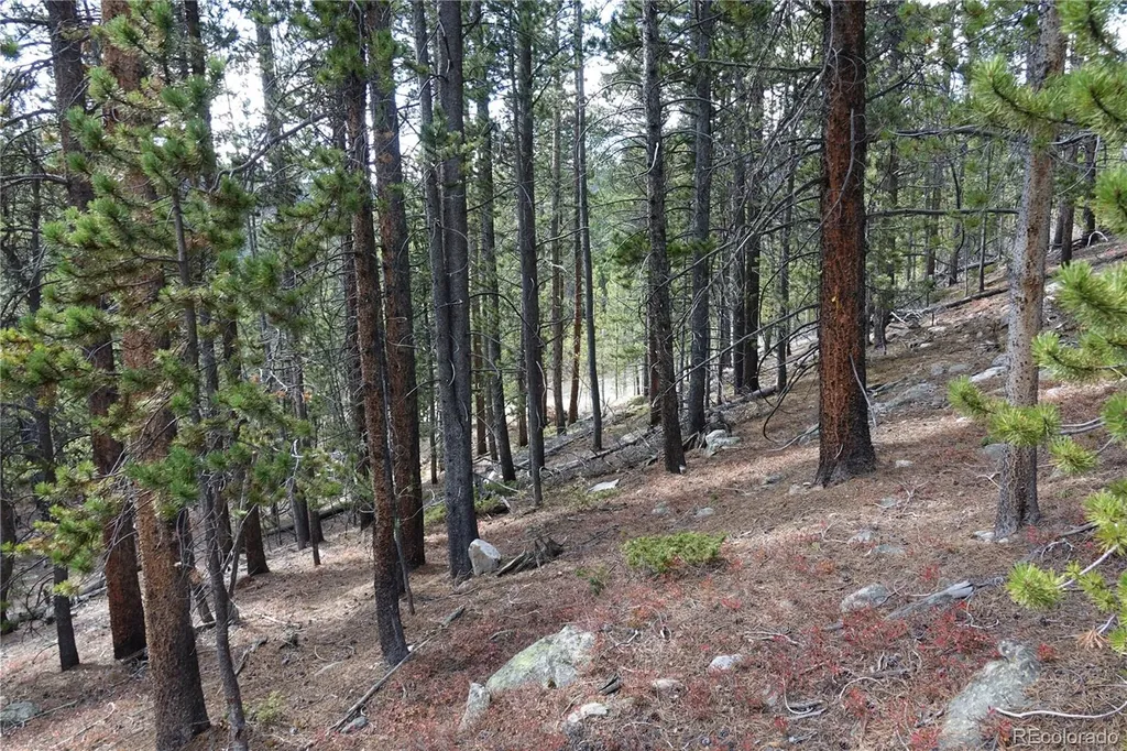 000 Loch Lomond Rd & Vista Road Idaho Springs CO 80452