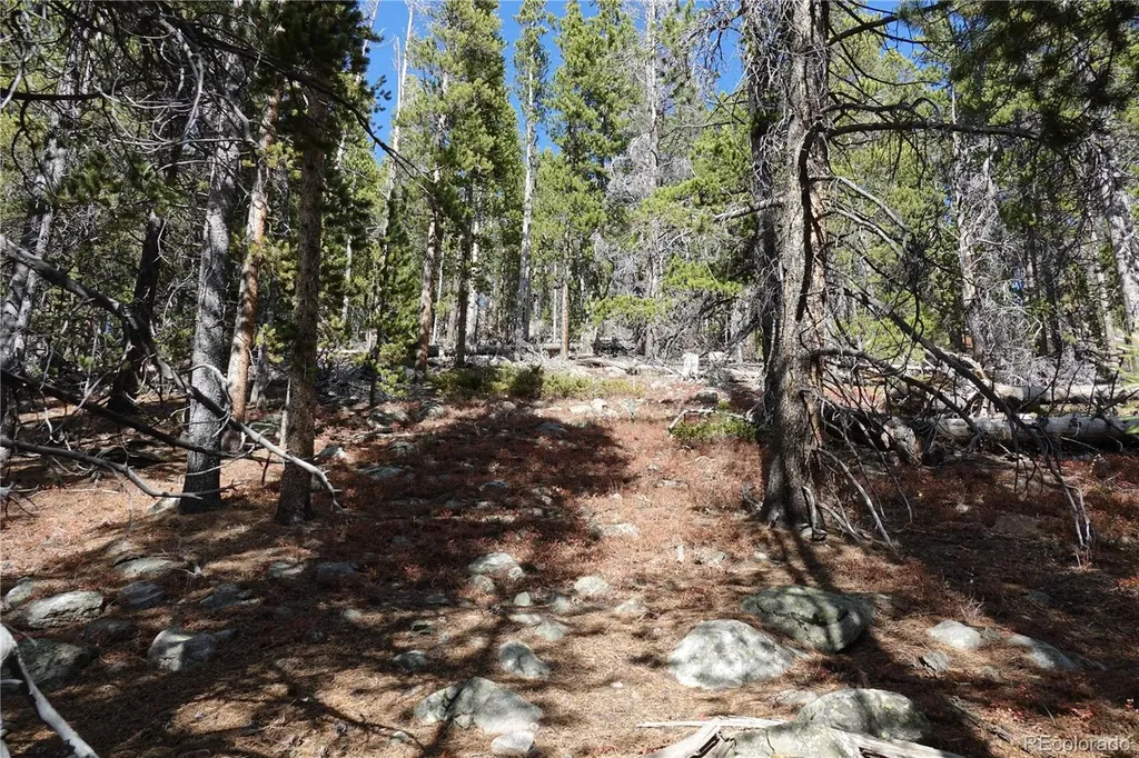000 Loch Lomond Rd & Vista Road Idaho Springs CO 80452