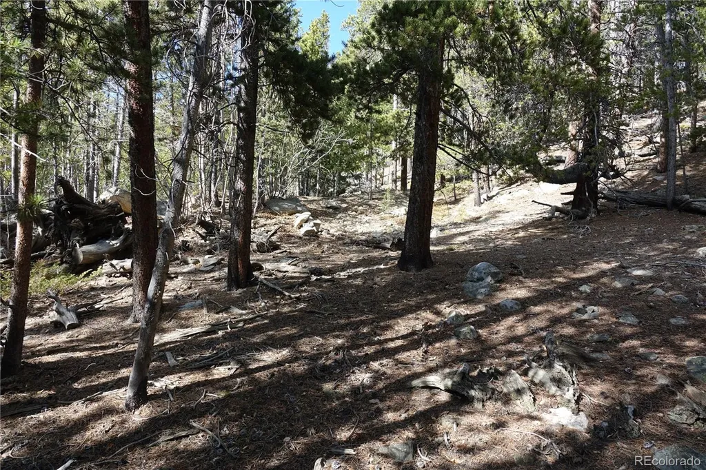 000 Loch Lomond Rd & Vista Road Idaho Springs CO 80452