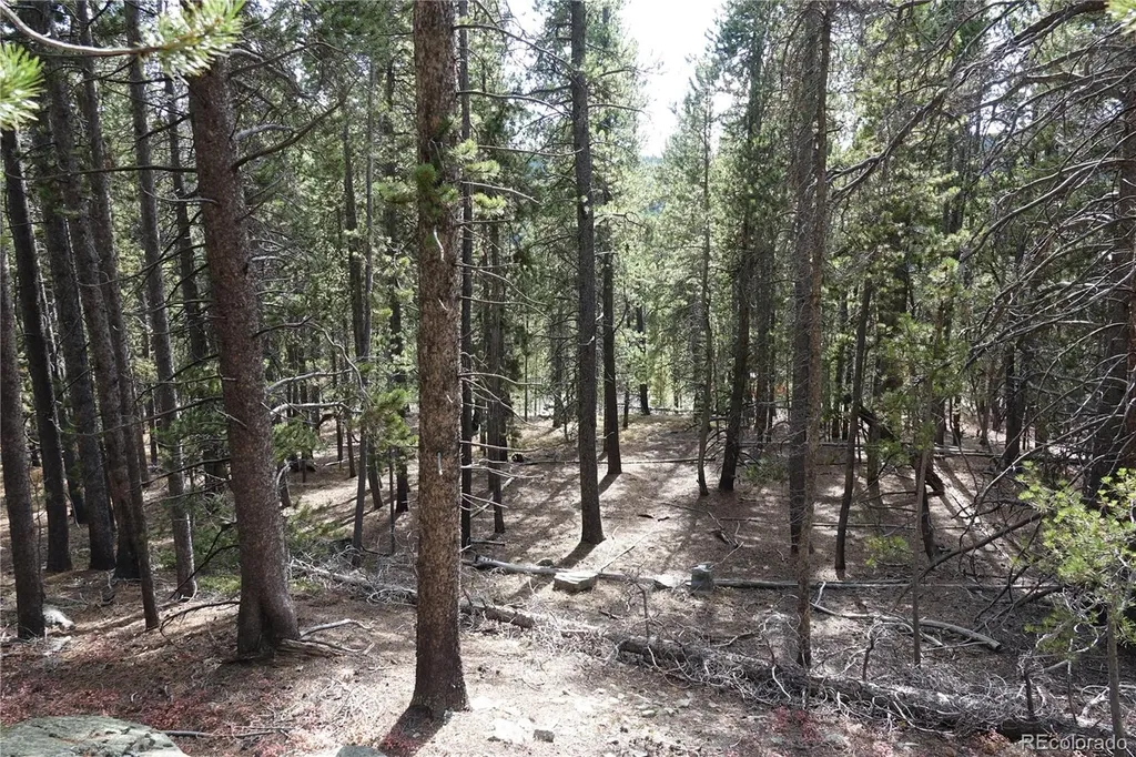 000 Loch Lomond Rd & Vista Road Idaho Springs CO 80452
