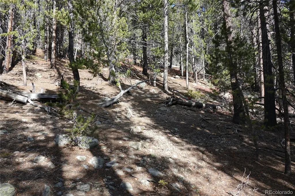 000 Loch Lomond Rd & Vista Road Idaho Springs CO 80452