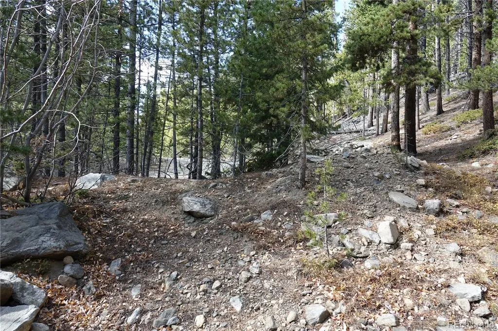 000 Loch Lomond Rd & Vista Road Idaho Springs CO 80452