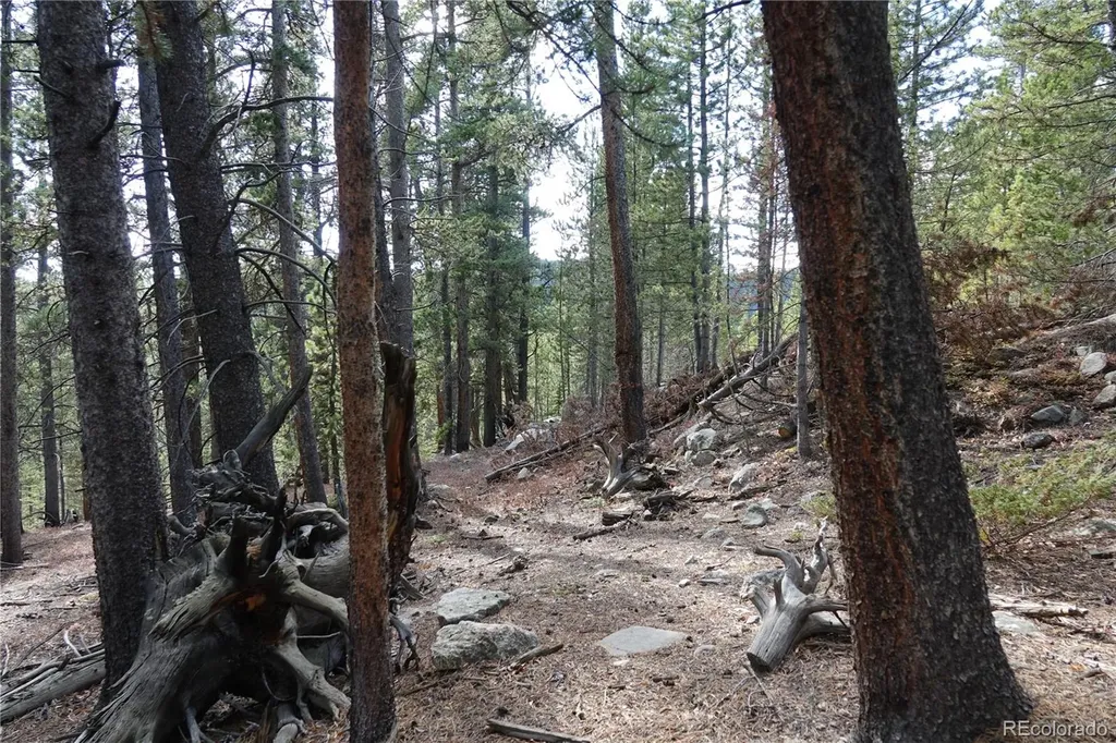 000 Loch Lomond Rd & Vista Road Idaho Springs CO 80452