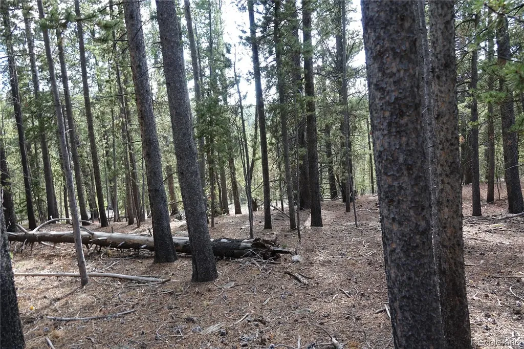 000 Loch Lomond Rd & Vista Road Idaho Springs CO 80452