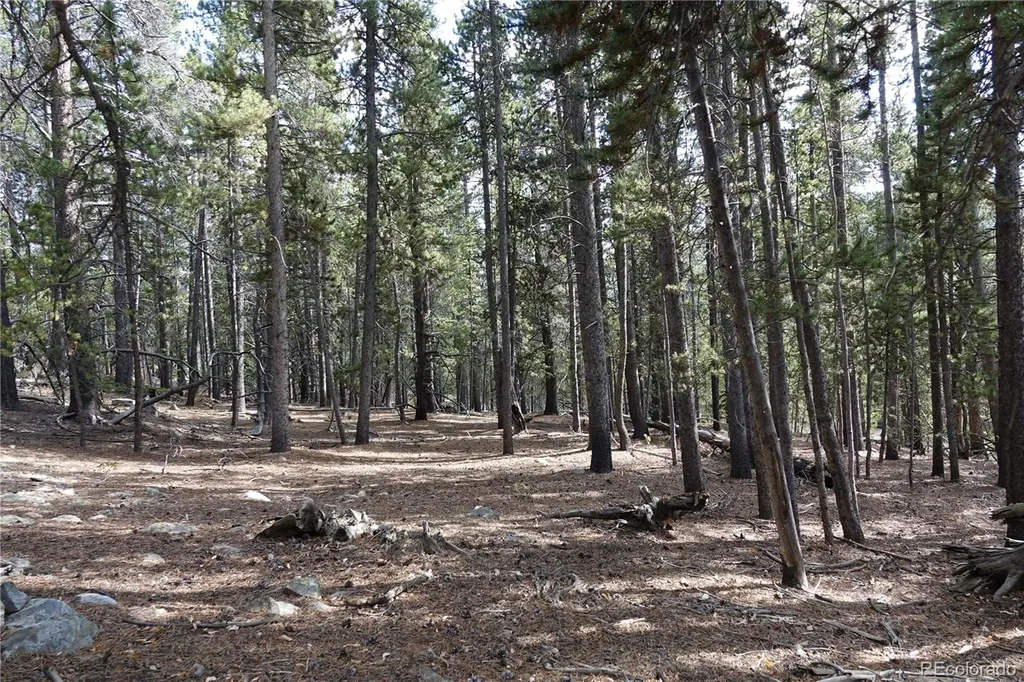 000 Loch Lomond Rd & Vista Road Idaho Springs CO 80452
