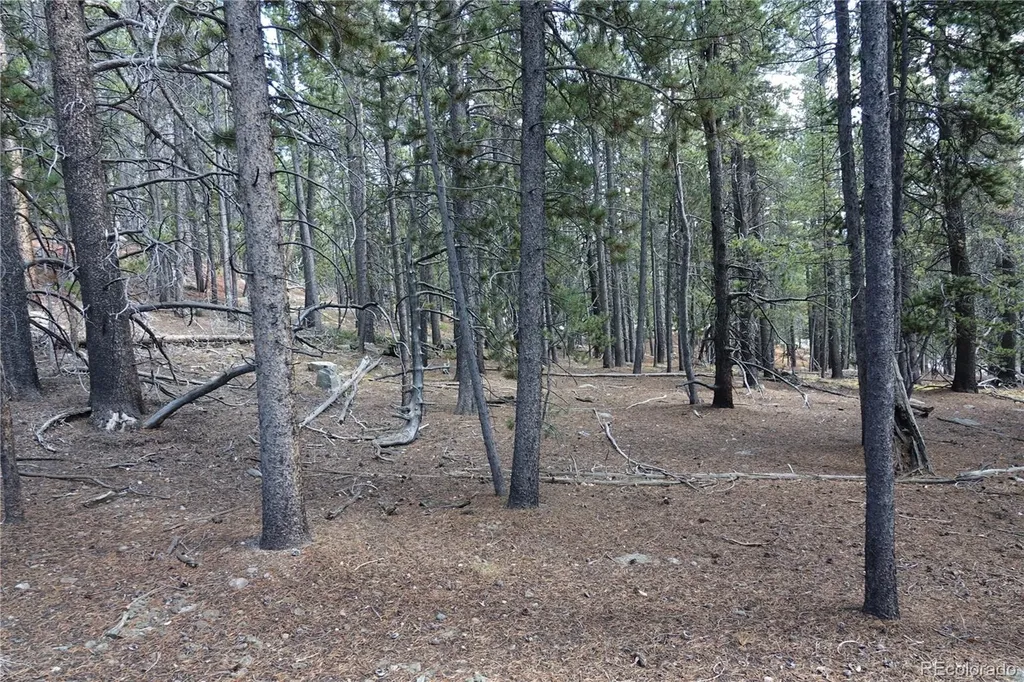 000 Loch Lomond Rd & Vista Road Idaho Springs CO 80452
