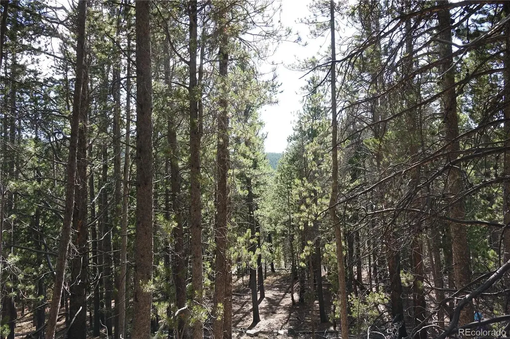 000 Loch Lomond Rd & Vista Road Idaho Springs CO 80452
