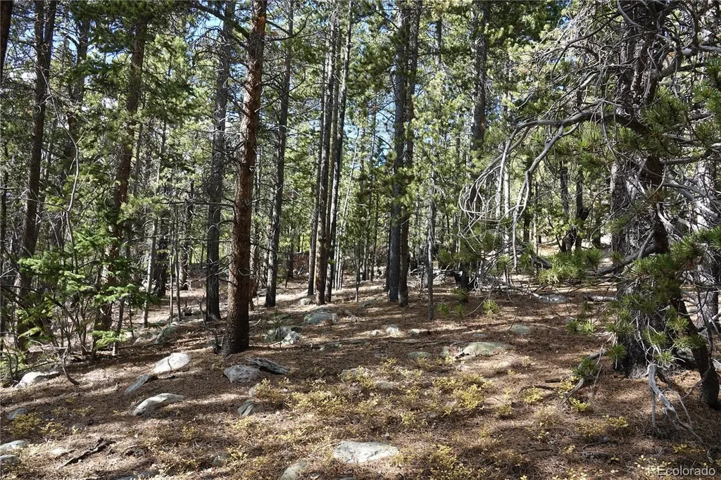 000 Loch Lomond Rd & Vista Road Idaho Springs CO 80452