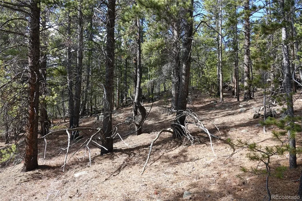 000 Loch Lomond Rd & Vista Road Idaho Springs CO 80452