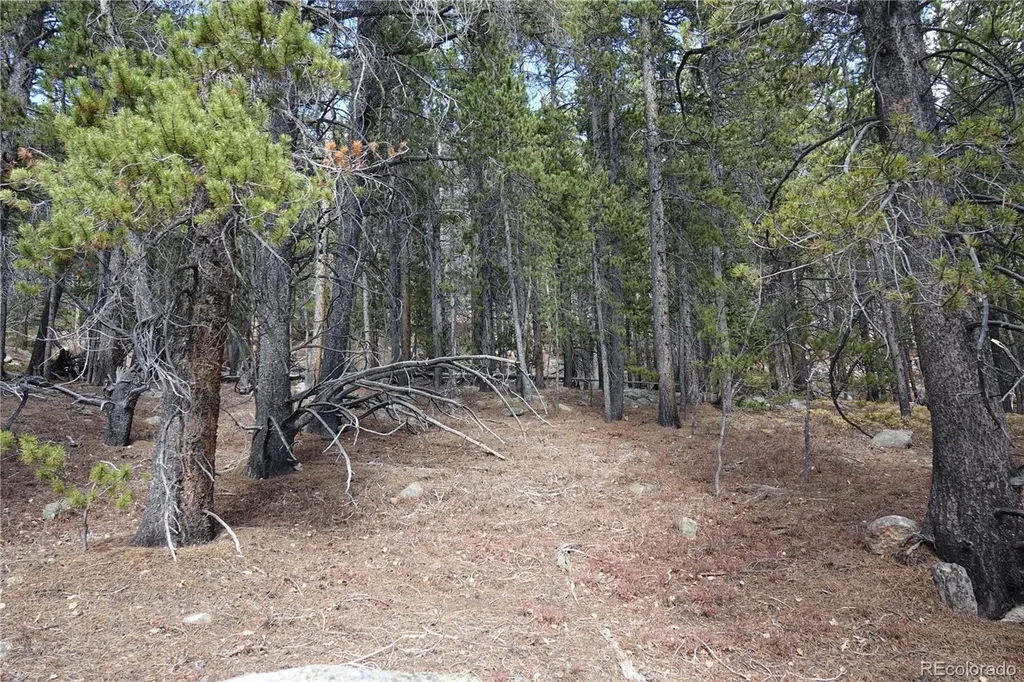 000 Loch Lomond Rd & Vista Road Idaho Springs CO 80452