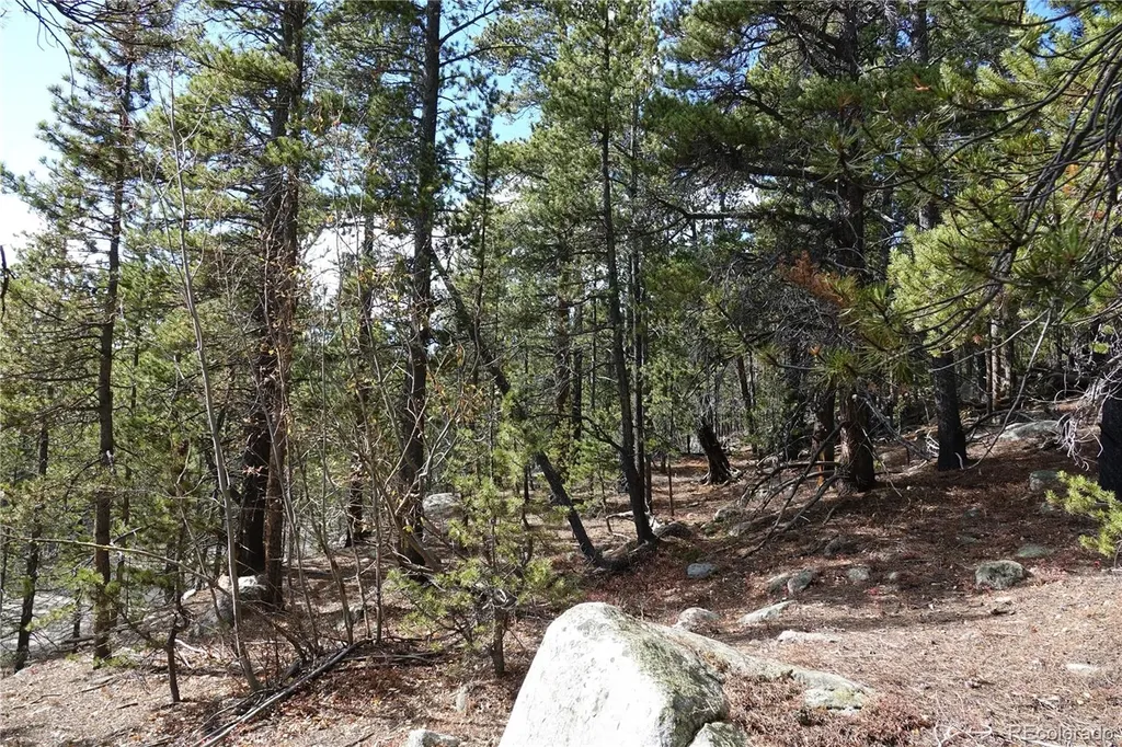 000 Loch Lomond Rd & Vista Road Idaho Springs CO 80452