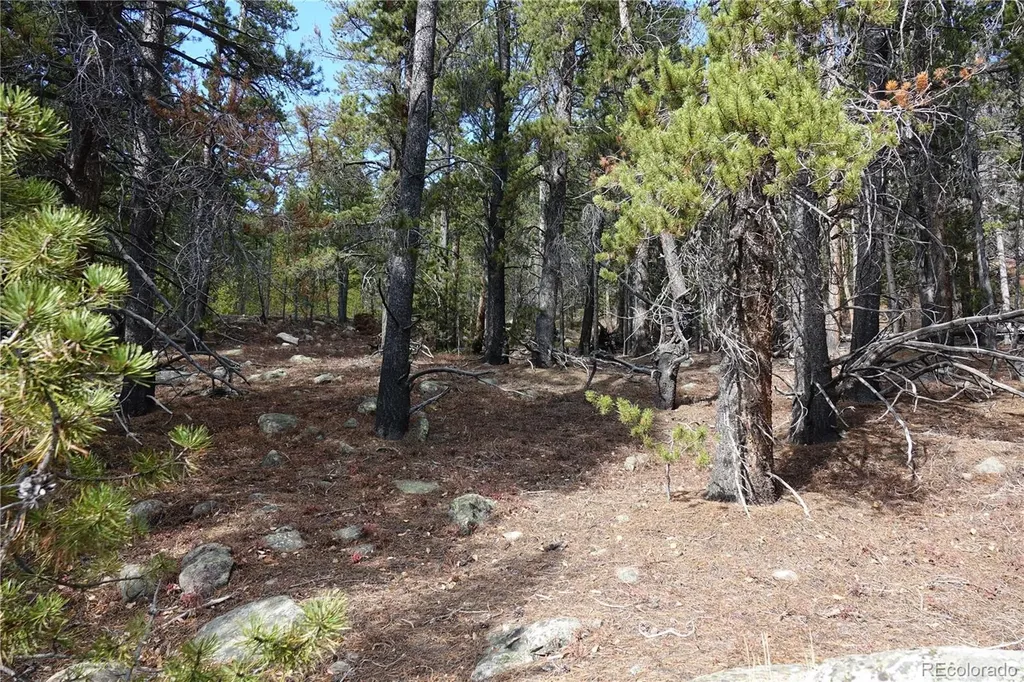 000 Loch Lomond Rd & Vista Road Idaho Springs CO 80452