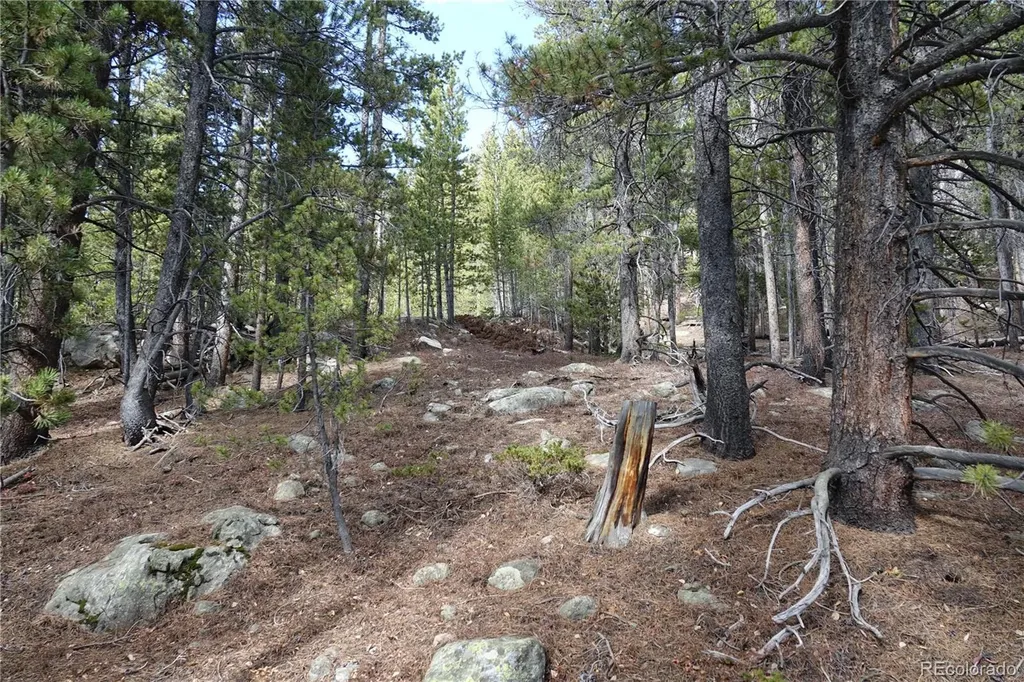 000 Loch Lomond Rd & Vista Road Idaho Springs CO 80452