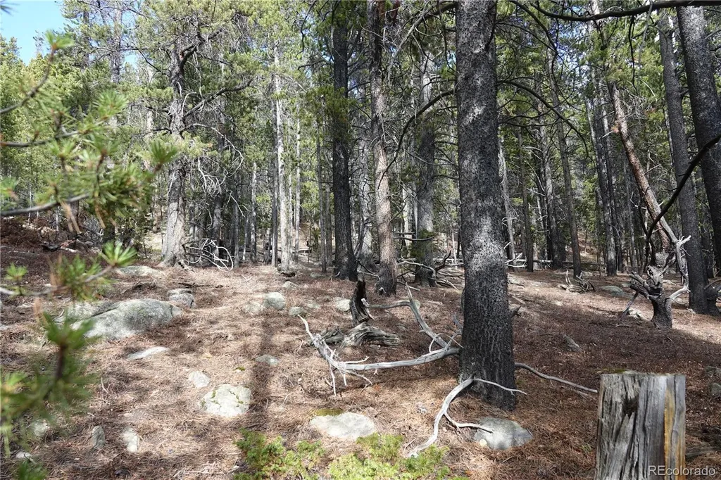 000 Loch Lomond Rd & Vista Road Idaho Springs CO 80452