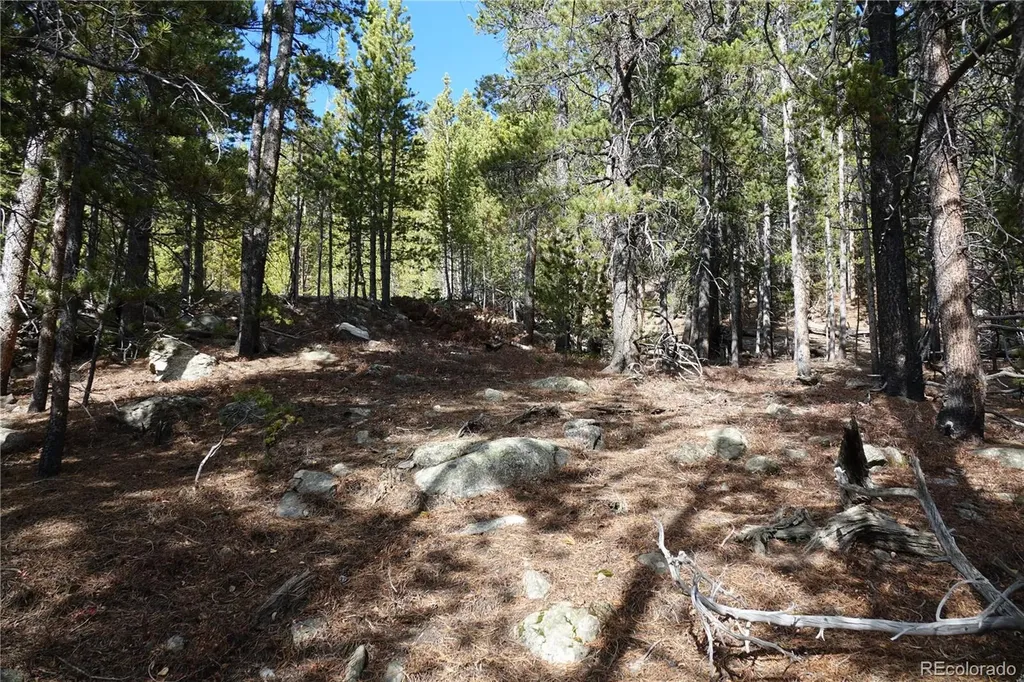000 Loch Lomond Rd & Vista Road Idaho Springs CO 80452